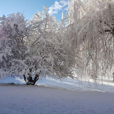 Studio Cosy Et Fonctionnel Entre Saule Et Lilas Villard-de-Lans Exteriör bild