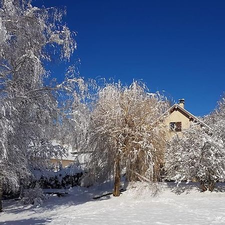 Studio Cosy Et Fonctionnel Entre Saule Et Lilas Villard-de-Lans Exteriör bild