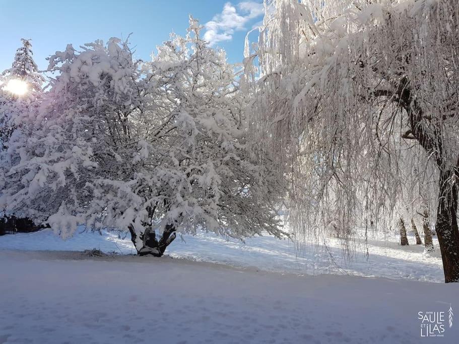 Studio Cosy Et Fonctionnel Entre Saule Et Lilas Villard-de-Lans Exteriör bild