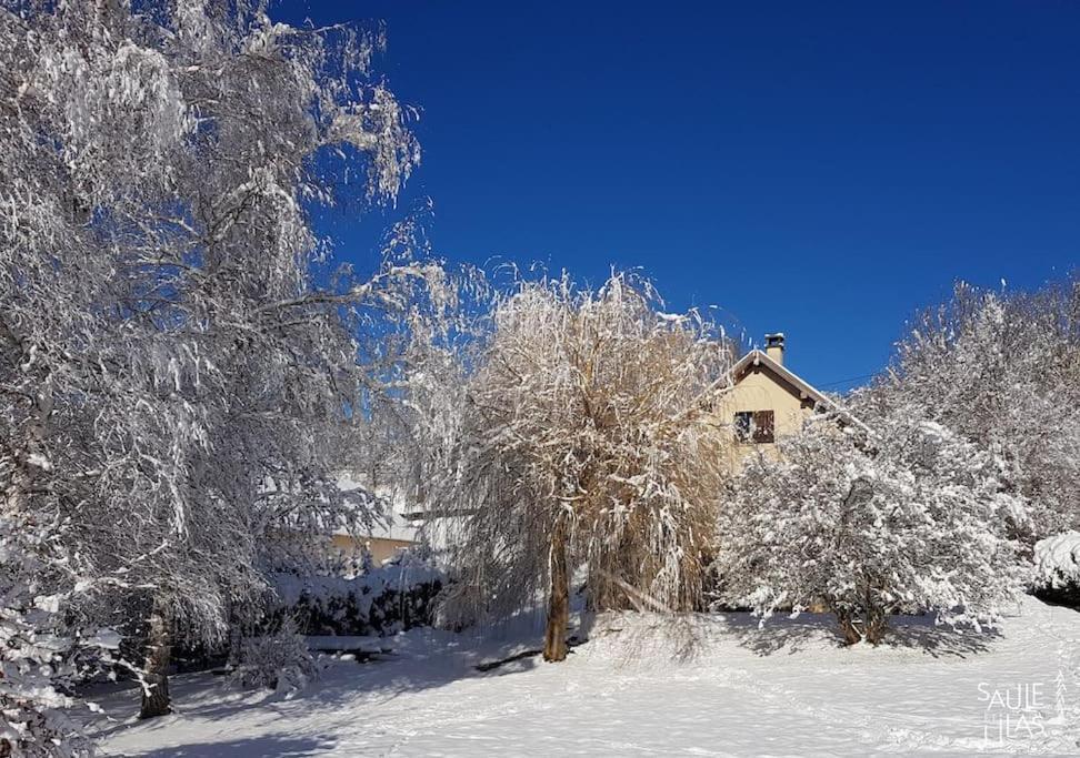 Studio Cosy Et Fonctionnel Entre Saule Et Lilas Villard-de-Lans Exteriör bild