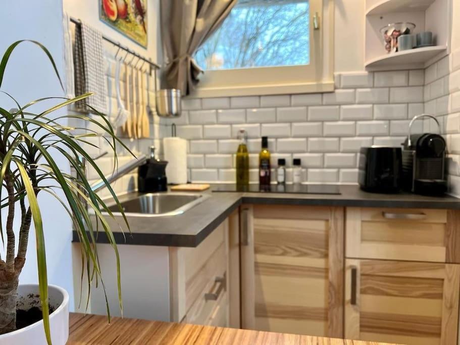 Studio Cosy Et Fonctionnel Entre Saule Et Lilas Villard-de-Lans Exteriör bild